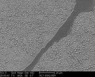 /static/micrographs/micrograph1285.png