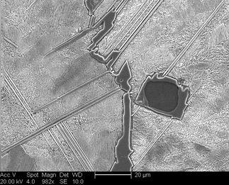 /static/micrographs/micrograph1287.png