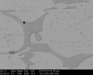 /static/micrographs/micrograph1288.png