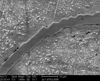 /static/micrographs/micrograph1289.png