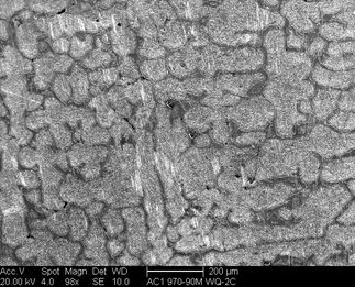 /static/micrographs/micrograph1291.png