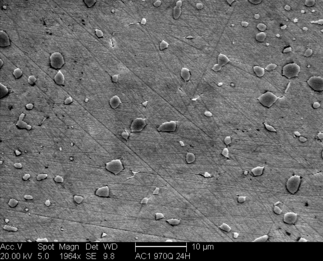 /static/micrographs/micrograph1295.png