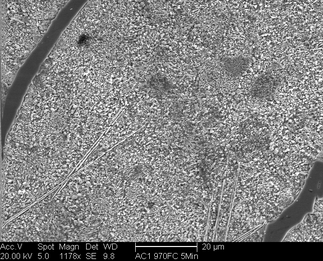 /static/micrographs/micrograph1298.png