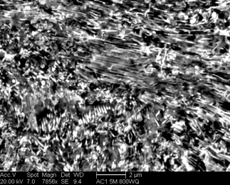 /static/micrographs/micrograph1300.png