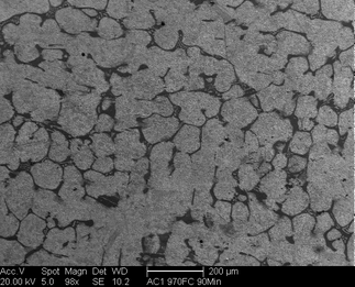 /static/micrographs/micrograph1302.png