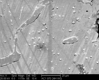 /static/micrographs/micrograph1304.png