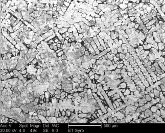 /static/micrographs/micrograph1305.png