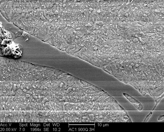/static/micrographs/micrograph1306.png