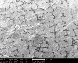 /static/micrographs/micrograph1309.png