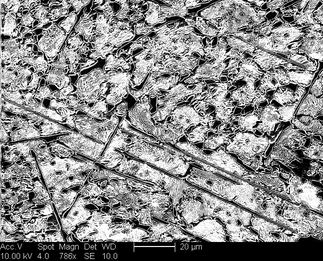 /static/micrographs/micrograph131.png