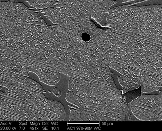 /static/micrographs/micrograph1311.png