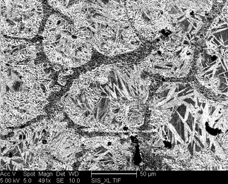 /static/micrographs/micrograph1316.png
