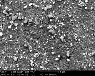 /static/micrographs/micrograph1318.png