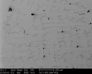 /static/micrographs/micrograph1321.png