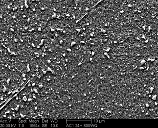 /static/micrographs/micrograph1322.png