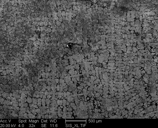 /static/micrographs/micrograph1324.png