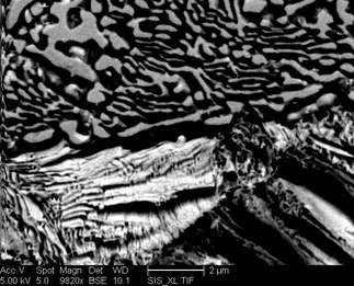 /static/micrographs/micrograph1326.png
