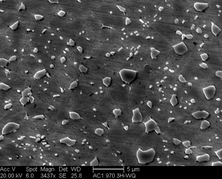 /static/micrographs/micrograph1327.png