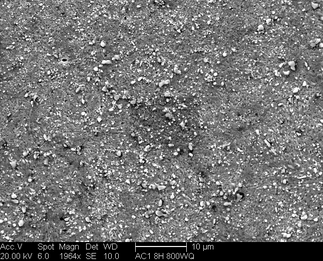 /static/micrographs/micrograph1329.png