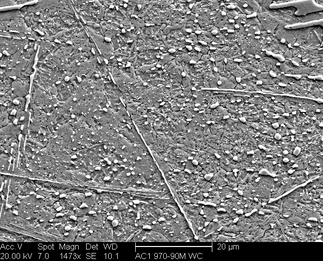 /static/micrographs/micrograph1330.png