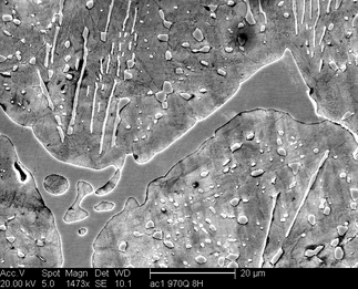 /static/micrographs/micrograph1331.png