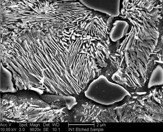 /static/micrographs/micrograph1332.png
