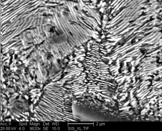 /static/micrographs/micrograph1338.png