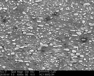 /static/micrographs/micrograph1339.png