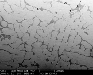 /static/micrographs/micrograph1344.png