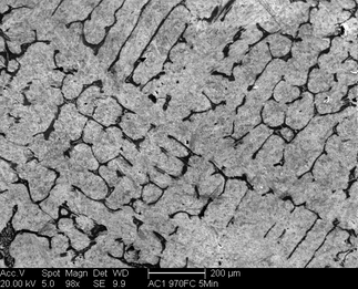 /static/micrographs/micrograph1347.png