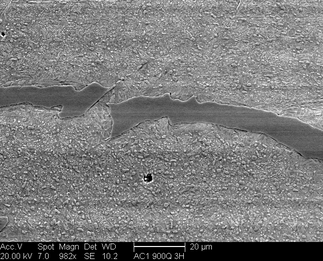 /static/micrographs/micrograph1348.png