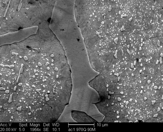 /static/micrographs/micrograph1349.png