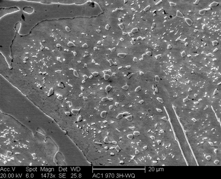 /static/micrographs/micrograph135.png