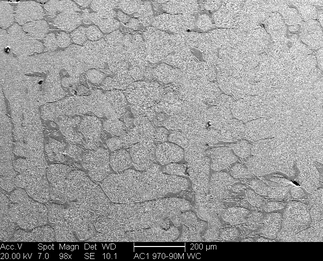/static/micrographs/micrograph1351.png