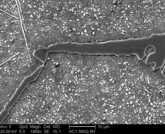 /static/micrographs/micrograph1356.png