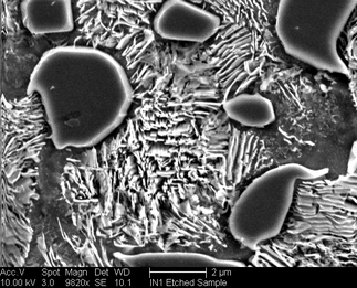 /static/micrographs/micrograph1358.png