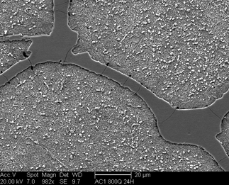/static/micrographs/micrograph1359.png