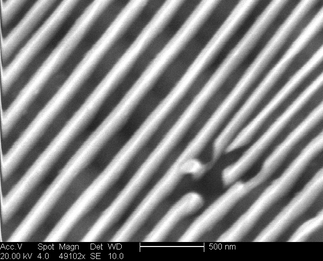 /static/micrographs/micrograph1364.png