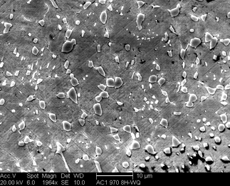 /static/micrographs/micrograph1368.png
