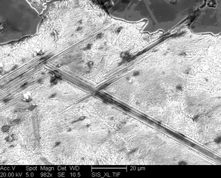 /static/micrographs/micrograph1370.png