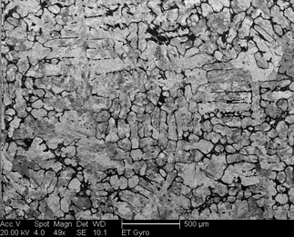 /static/micrographs/micrograph1371.png