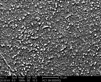 /static/micrographs/micrograph1372.png