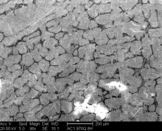 /static/micrographs/micrograph1374.png