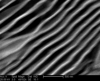 /static/micrographs/micrograph1376.png