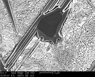 /static/micrographs/micrograph1378.png