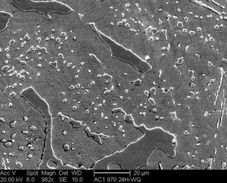 /static/micrographs/micrograph1379.png