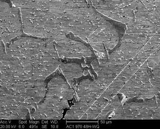 /static/micrographs/micrograph138.png