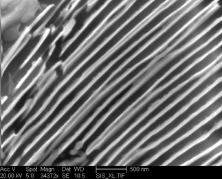 /static/micrographs/micrograph1384.png
