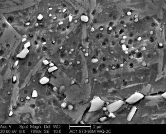 /static/micrographs/micrograph1385.png
