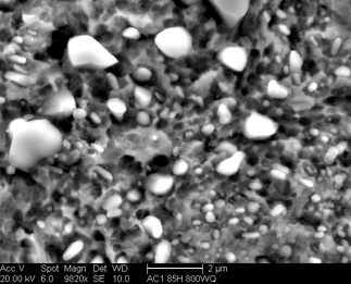 /static/micrographs/micrograph1388.png